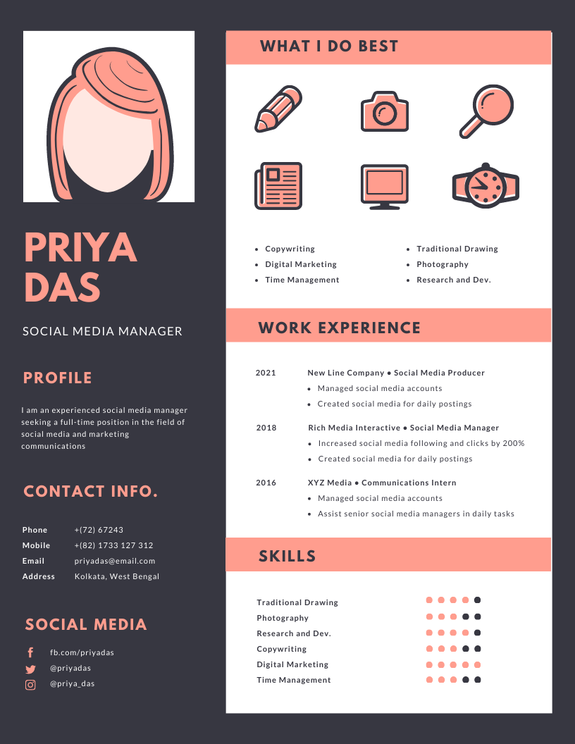 Infographic resume 2